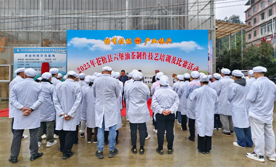 2025年蒼梧縣六堡油茶制作技藝培訓(xùn)及比賽活動圓滿落幕！