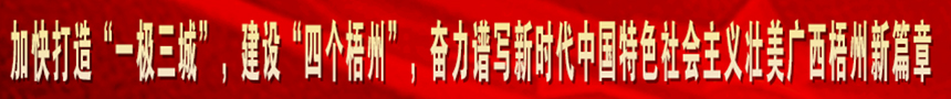 加快打造“一級(jí)三城市”，建設(shè)“四個(gè)梧州”，奮力譜寫(xiě)新時(shí)代中國(guó)特色社會(huì)主義壯美廣西梧州新篇章