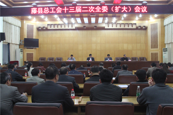 圖為藤縣總工會(huì)十三屆二次全委(擴(kuò)大)會(huì)議會(huì)場(chǎng) 張賢武攝影.JPG