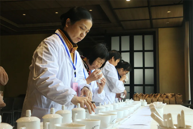 以賽促優(yōu) 以評(píng)提質(zhì)——2025年蒼梧縣第一屆傳統(tǒng)工藝六堡茶評(píng)比大賽圓滿(mǎn)落幕