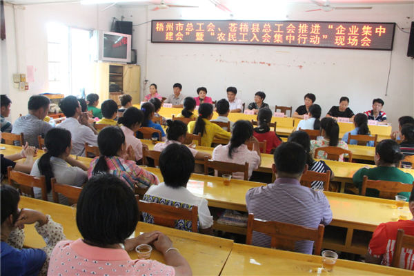 梧州市總工會(huì)、蒼梧縣總工會(huì)推進(jìn)“企業(yè)集中建會(huì)”暨“農(nóng)民工入會(huì)集中行動(dòng)現(xiàn)場(chǎng)會(huì).jpg